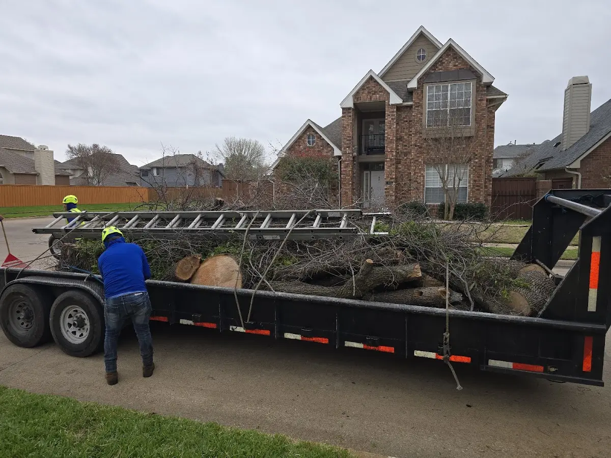 Expert Tree Pest Control with proper safety equipment in Fruithurst